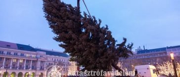 Az Ország Karácsonyfája