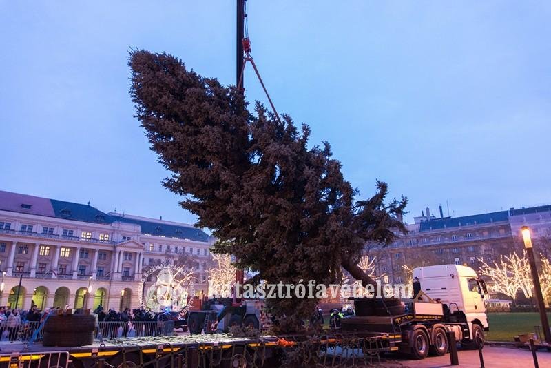 Az Ország Karácsonyfája