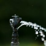 Az öntözőrendszer: A hatékony növényöntözés kulcsa