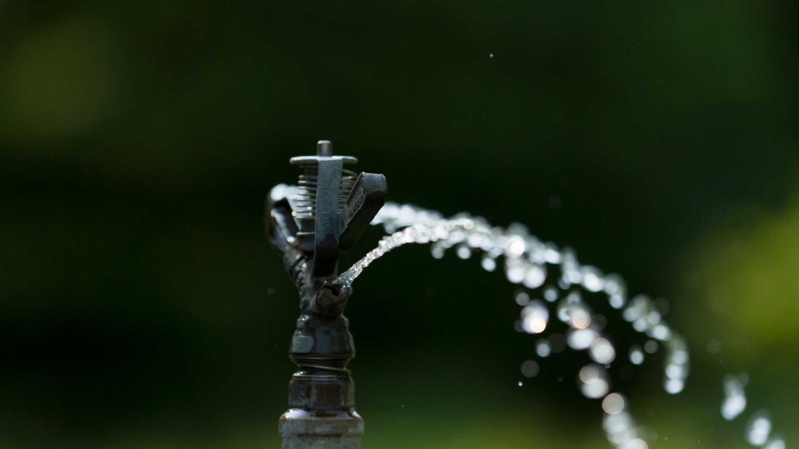 Az öntözőrendszer: A hatékony növényöntözés kulcsa